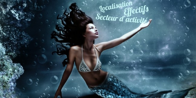 Le répertoire Sirene accessible gratuitement en 2017