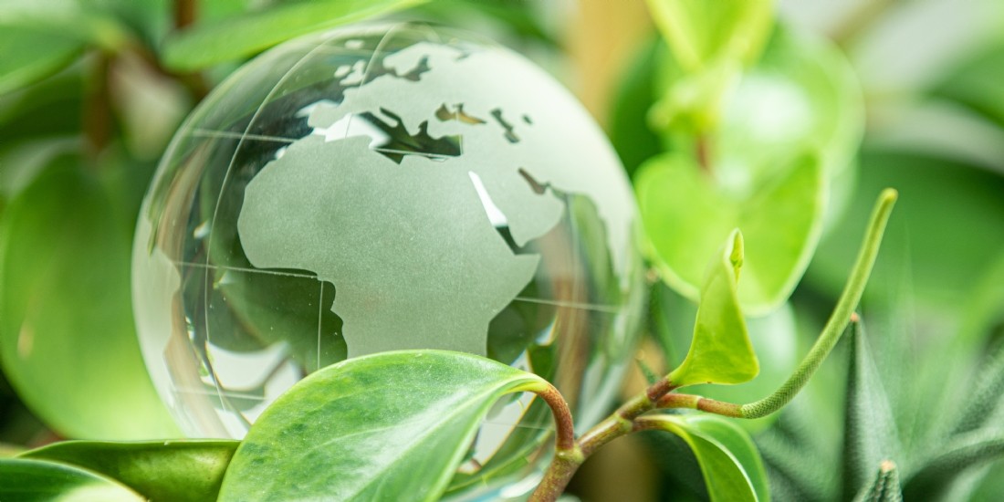 Rexel passe au développement durable
